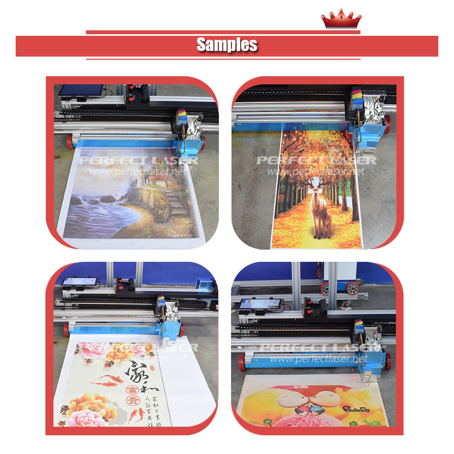 Perfect Laser Advertising Indu - Industrial Laser Printing Machine reseña y precio